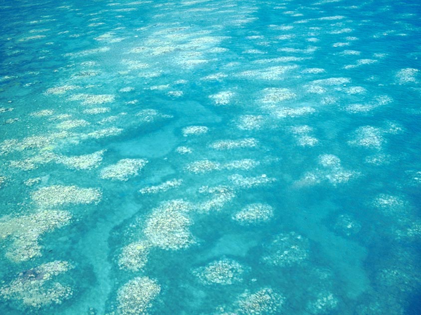 Helping the Great Barrier Reef: What can we do? What should we do?