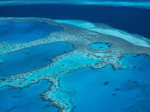 Reef’s massive size may be an asset in helping it withstand climate change