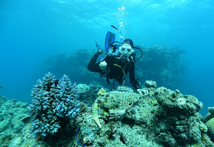 Photo of a snorkeler