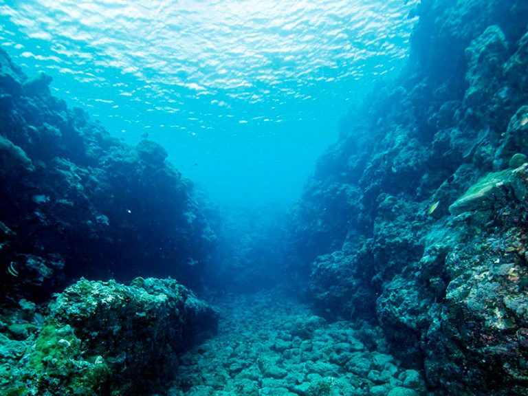 Stabilisation by chemical bonding - Reef Restoration and Adaptation Program