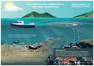 Infographic: Reef structures and stabilisation options being explored by RRAP - thumbnail