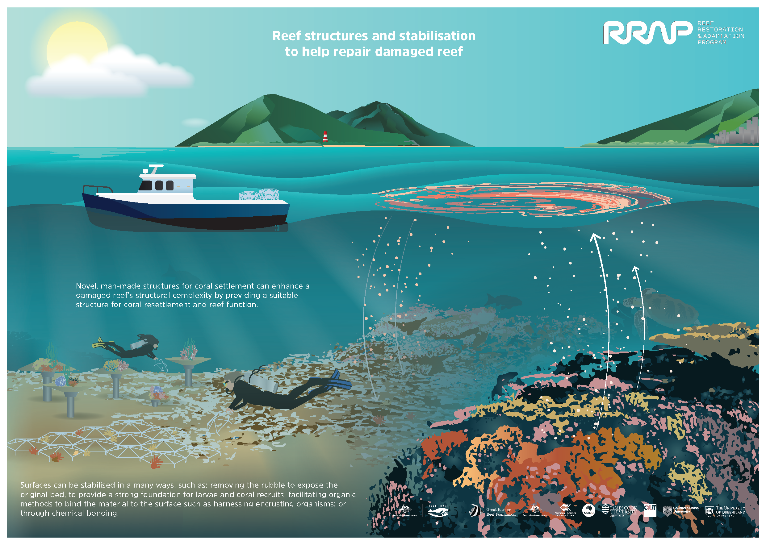Infographics and Diagrams Archives - Reef Restoration and Adaptation Program