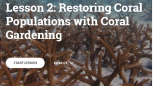 Coral restoration Training Course