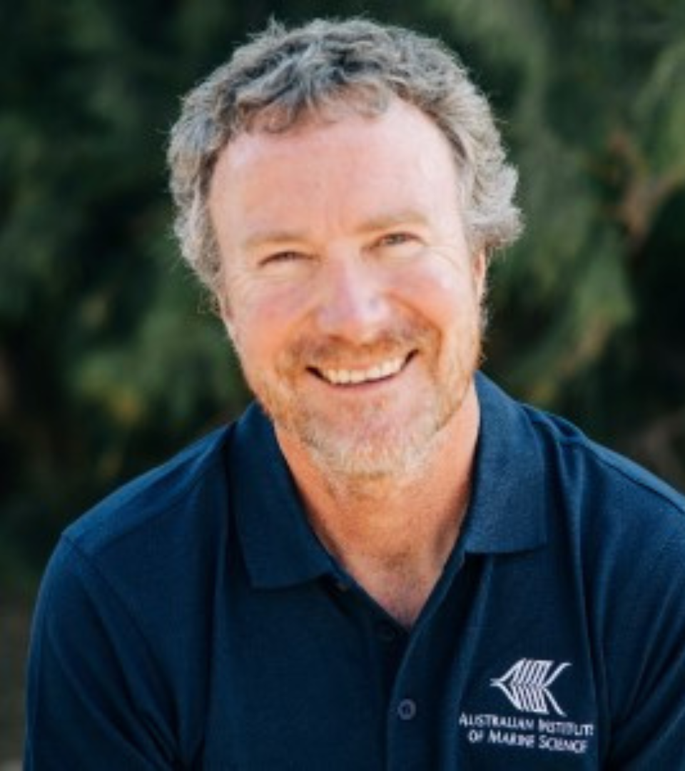 Shaun Wilson
